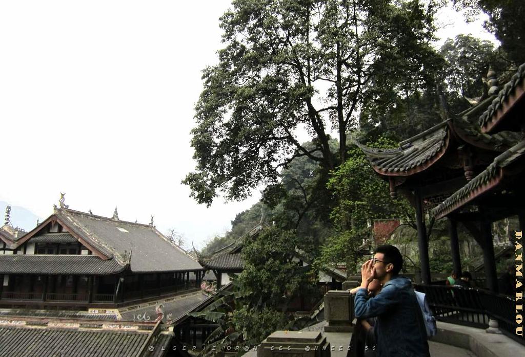 Chengdu avril 2017 - 079.JPG